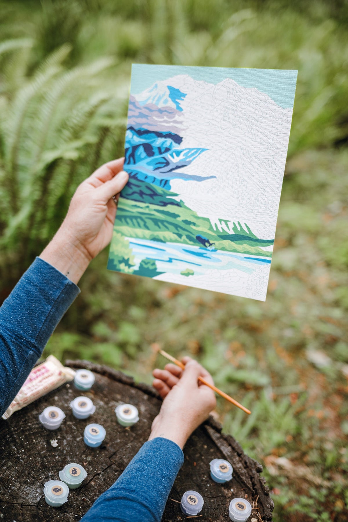 Denali National Park | 8x10 paint-by-number kit